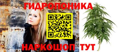 твердый Партизанск