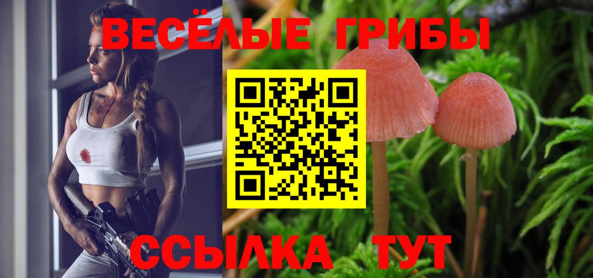Галлюциногенные грибы прущие грибы Ростов Великий